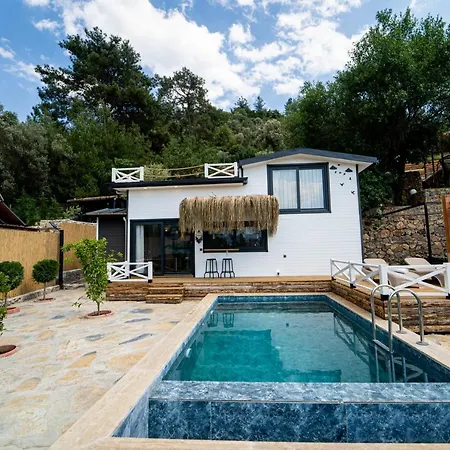 Gorgeous Flat With Private Pool And Terrace Surrounded By Nature In Fethiye Villa Uzumlu