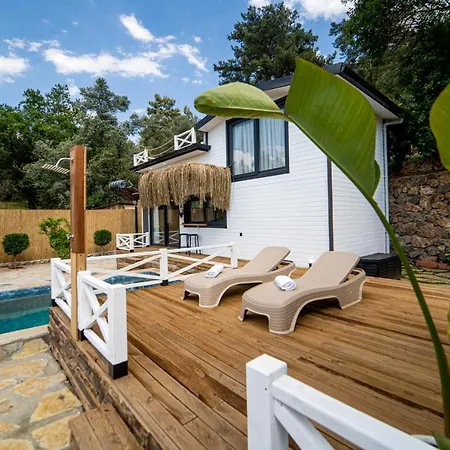 Gorgeous Flat With Private Pool And Terrace Surrounded By Nature In Fethiye *