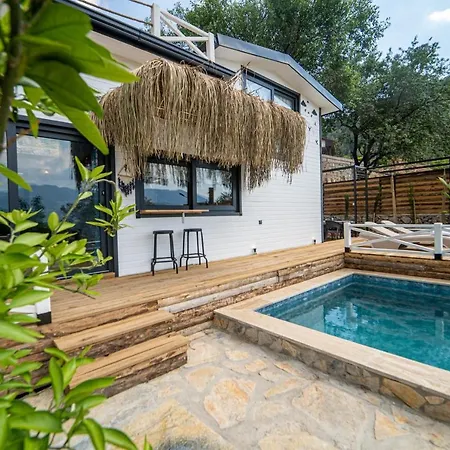 Villa Gorgeous Flat With Private Pool And Terrace Surrounded By Nature In Fethiye *