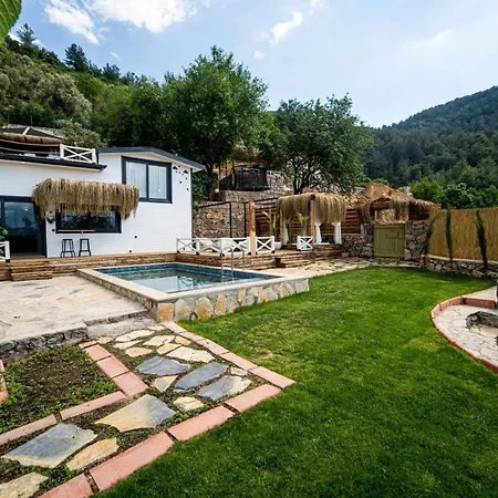 Villa Gorgeous Flat With Private Pool And Terrace Surrounded By Nature In Fethiye *