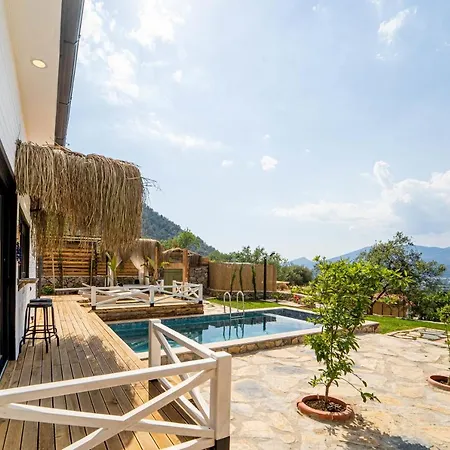 Villa Gorgeous Flat With Private Pool And Terrace Surrounded By Nature In Fethiye